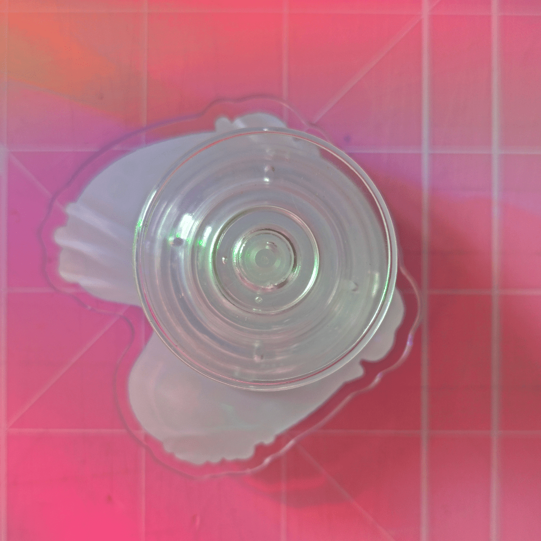 Duck Pond Spinning Acrylic Phone Grip Fidget Toy - Koodle